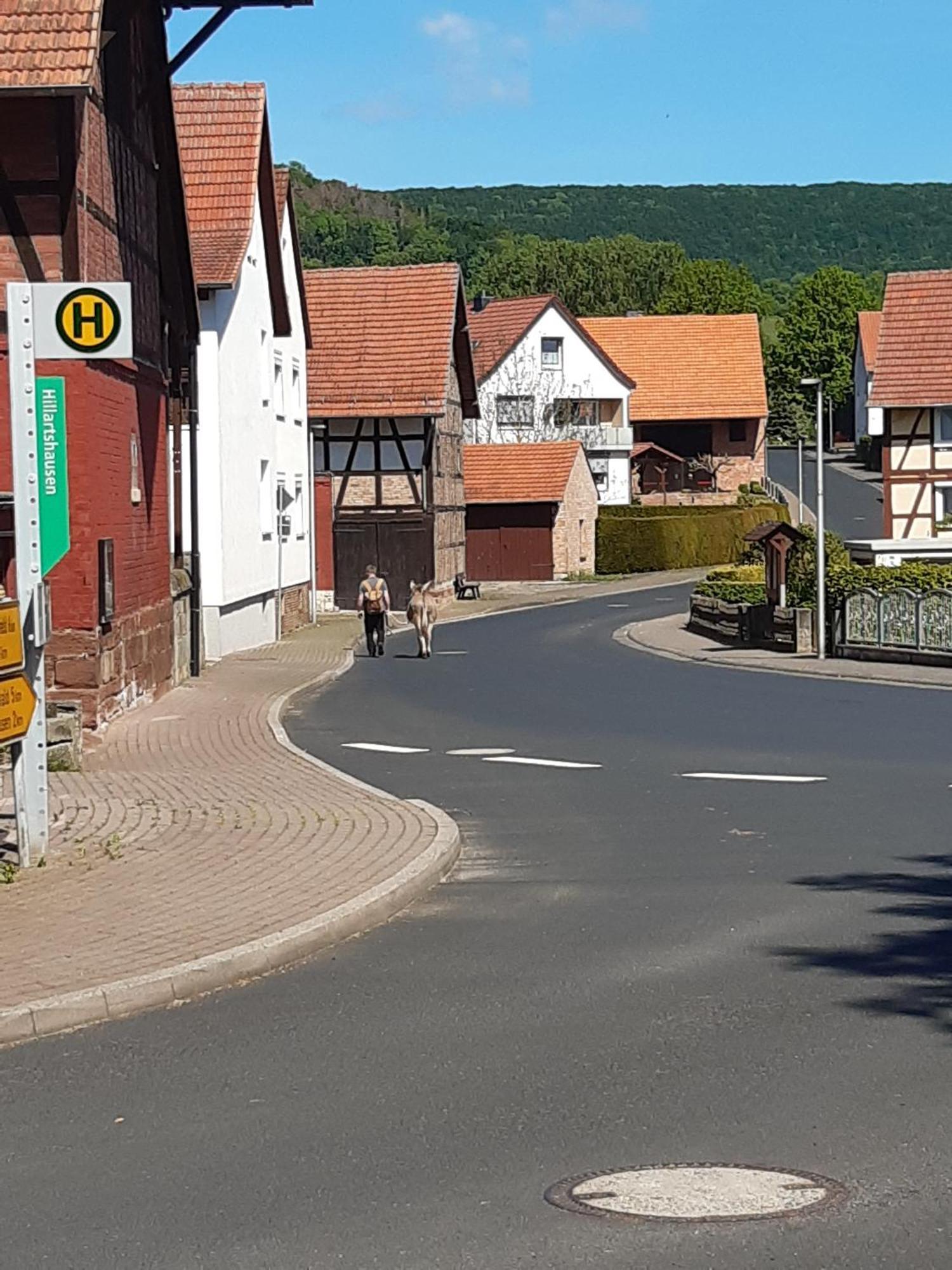 Rhönhof Lebensart Friedewald  Exterior foto